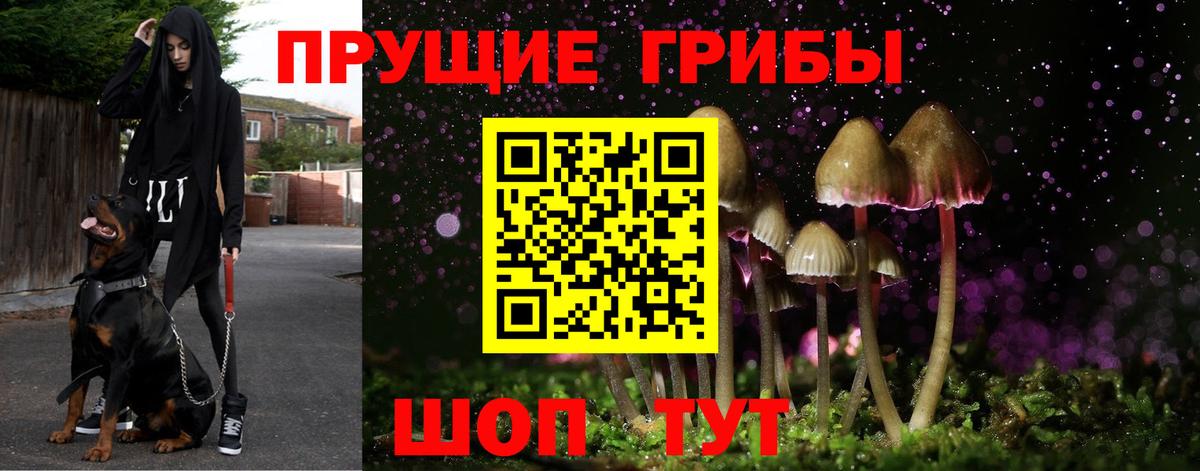 Псилоцибиновые грибы прущие грибы Воронеж