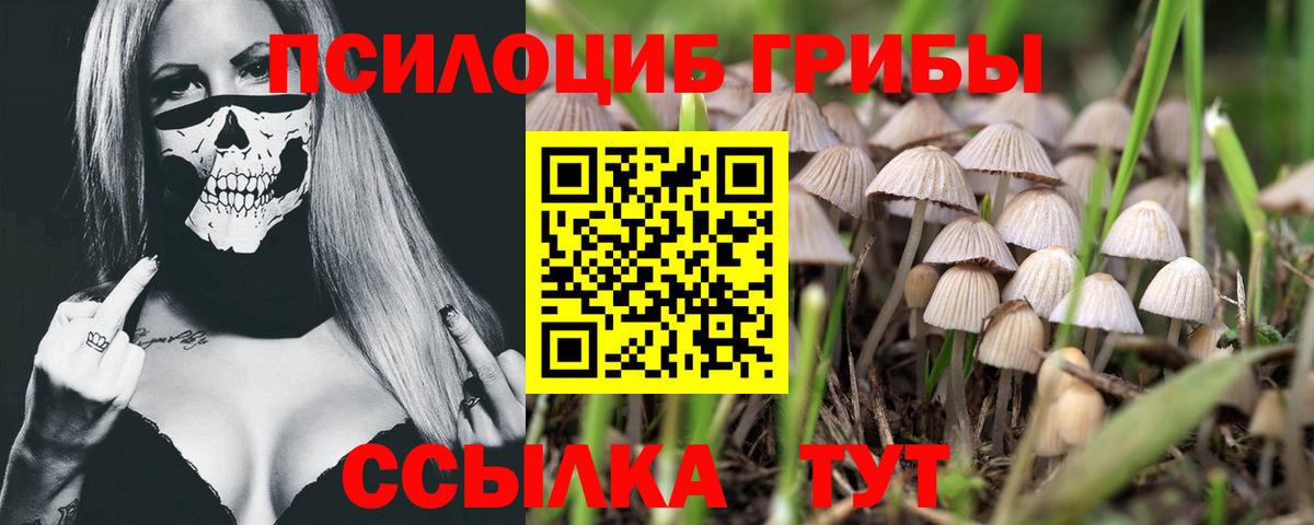Галлюциногенные грибы ЛСД  Вход с VPN  Воронеж 
